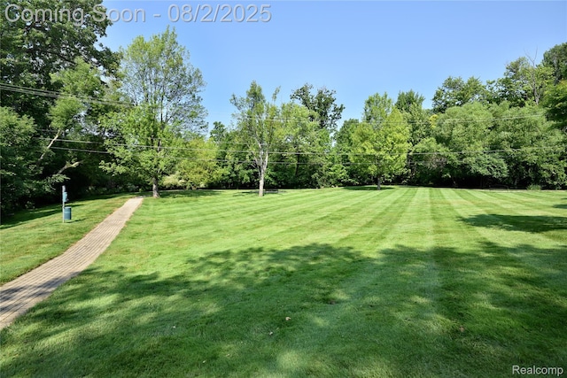 1111 N Old Woodward Ave Unit 13, Birmingham, MI 48009 - photo 32