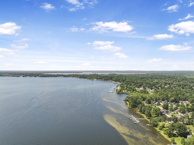200 N Shore Dr E, Cadillac, MI 49601 - photo 46