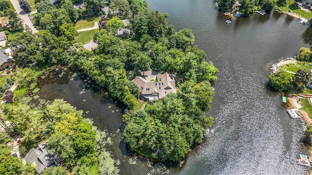 1181 Abseguami Trl, Lake Orion, MI 48362 - photo 3
