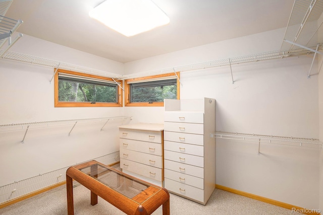 1181 Abseguami Trl, Lake Orion, MI 48362 - photo 48
