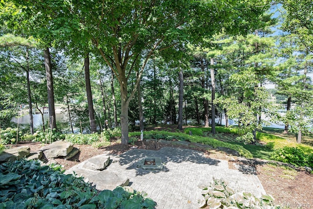 1181 Abseguami Trl, Lake Orion, MI 48362 - photo 56
