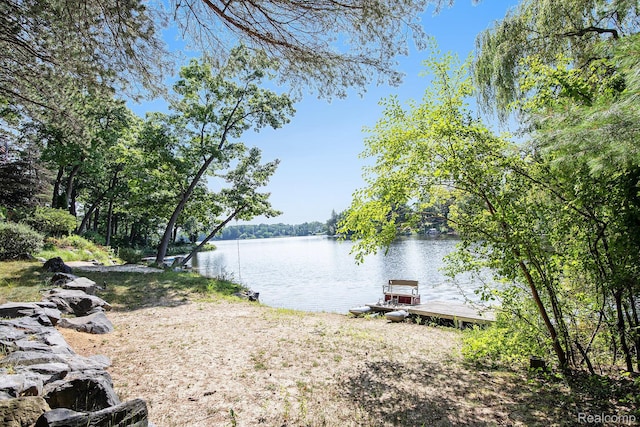 1181 Abseguami Trl, Lake Orion, MI 48362 - photo 58