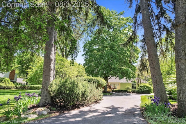 19905 Beverly Rd, Beverly Hills, MI 48025 - photo 71