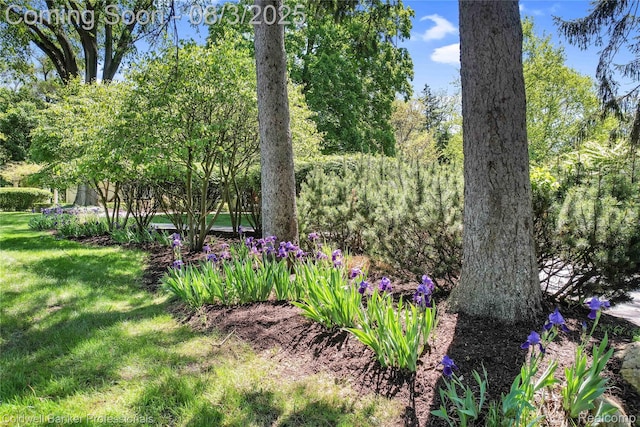 19905 Beverly Rd, Beverly Hills, MI 48025 - photo 70