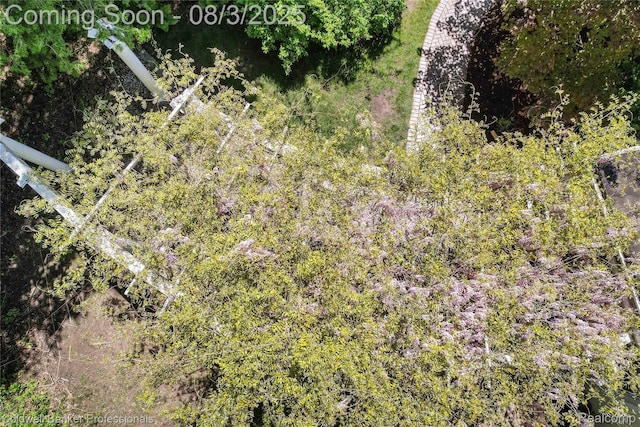 19905 Beverly Rd, Beverly Hills, MI 48025 - photo 94