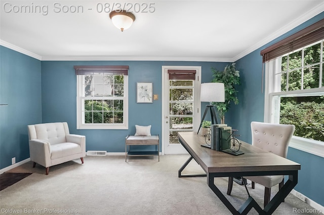 19905 Beverly Rd, Beverly Hills, MI 48025 - photo 28