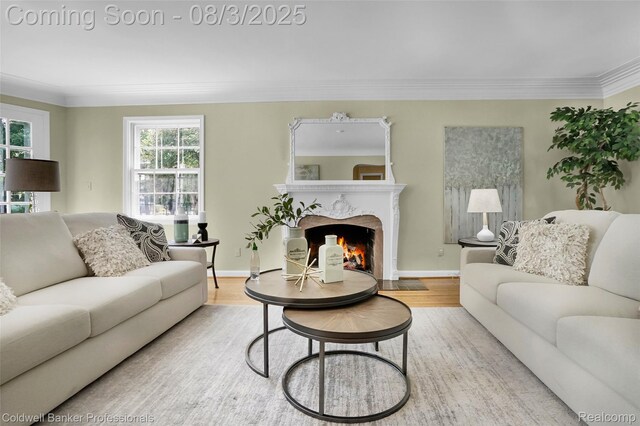 19905 Beverly Rd, Beverly Hills, MI 48025 - photo 8