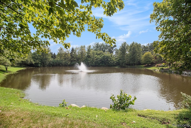 39459 Springwater Dr Unit 48, Northville, MI 48168 - photo 30