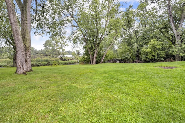 2901 E S St, Jackson, MI 49201 - photo 38