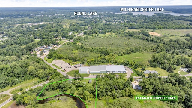 2901 E S St, Jackson, MI 49201 - photo 46