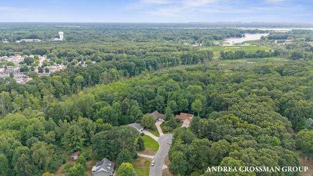 17220 Quail Creek Dr, Spring Lake, MI 49456 - photo 58