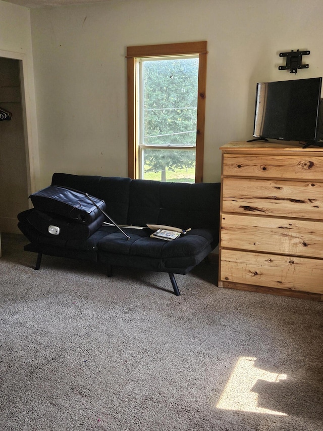 703 E Bond St, Hastings, MI 49058 - photo 8