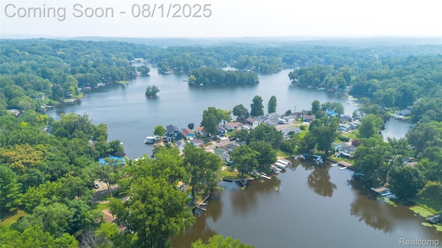 11534 Sunset Blvd, Pinckney, MI 48169 - photo 46