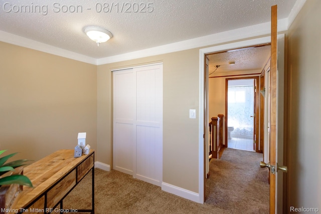9470 William St, Taylor, MI 48180 - photo 21