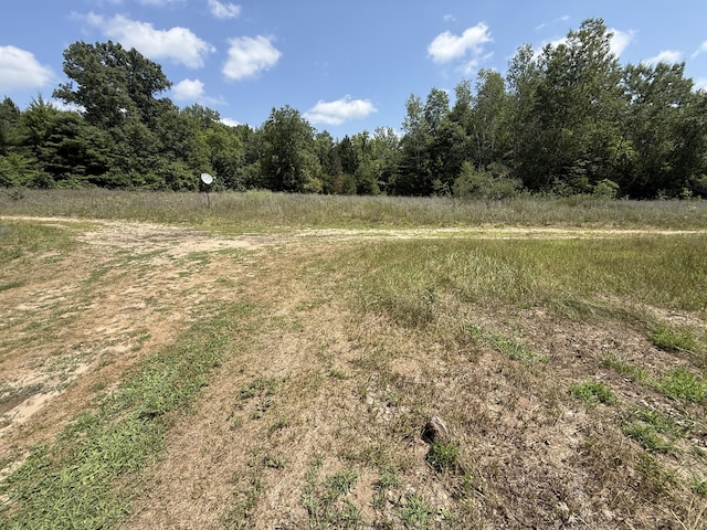 10710 N Sam Ln, Morley, MI 49336 - photo 2