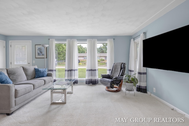 1142 Blair St, Jenison, MI 49428 - photo 5