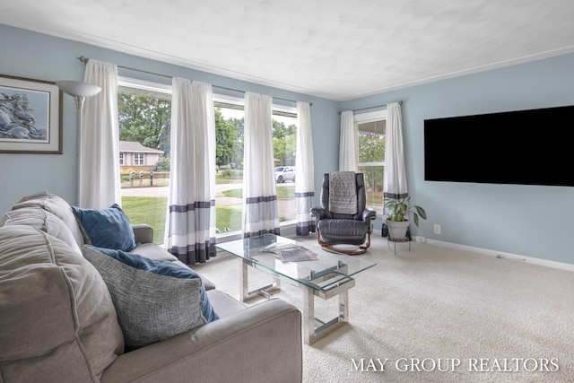 1142 Blair St, Jenison, MI 49428 - photo 7