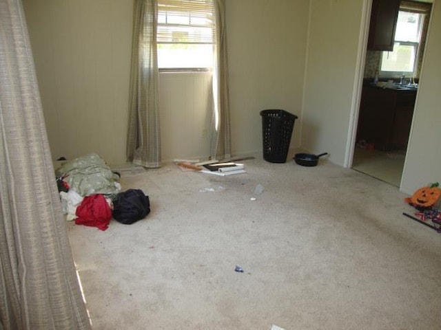 917 N Hickory St, Owosso, MI 48867 - photo 9