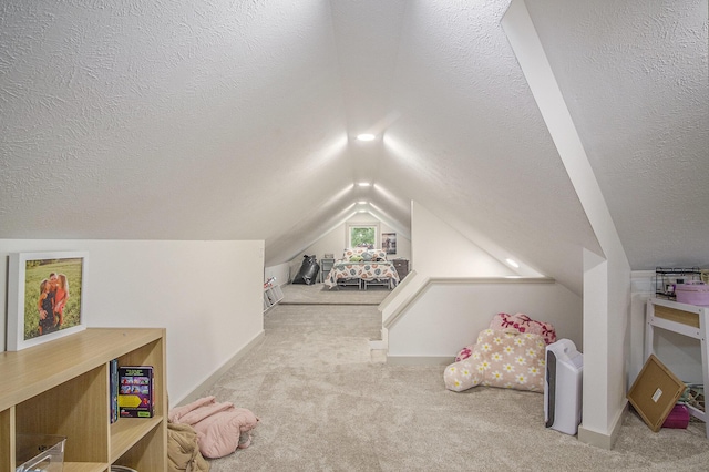 10946 Riverview Dr, Big Rapids, MI 49307 - photo 22