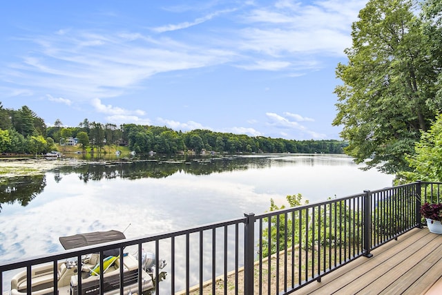 10946 Riverview Dr, Big Rapids, MI 49307 - photo 28