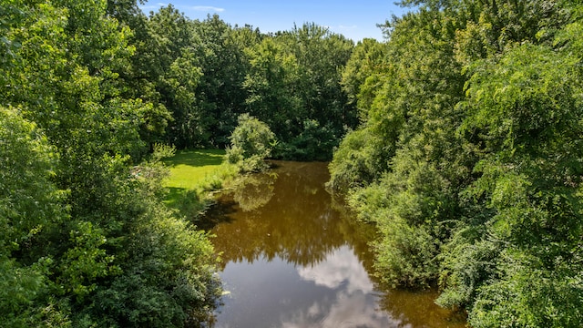 6460 Mccain Rd, Spring Arbor, MI 49283 - photo 46