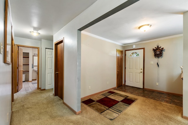 6460 Mccain Rd, Spring Arbor, MI 49283 - photo 13