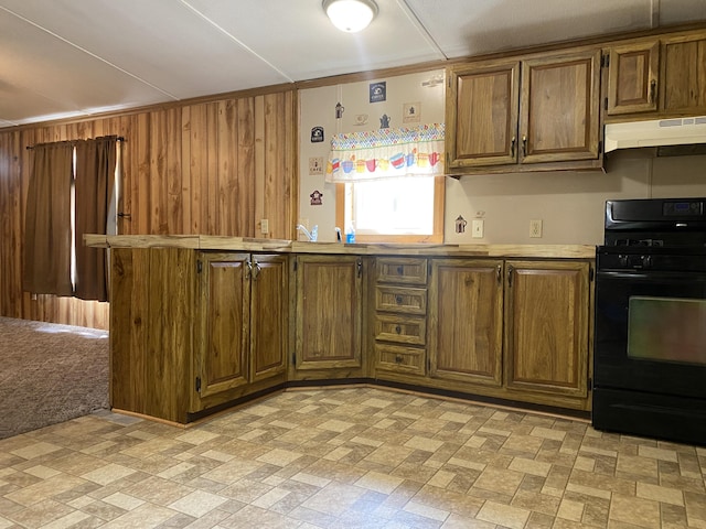7788 W Vernon Rd, Lake, MI 48632 - photo 10