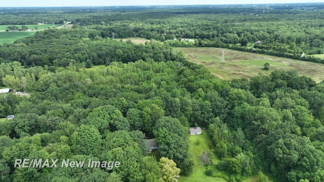 10741 Canada Way, Birch Run, MI 48415 - photo 62