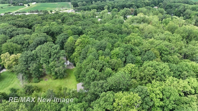 10741 Canada Way, Birch Run, MI 48415 - photo 64