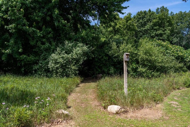 731 N Rolland Rd, Weidman, MI 48893 - photo 50