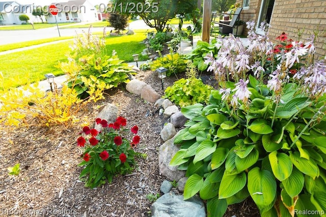 30162 Marla Dr, New Haven, MI 48048 - photo 30