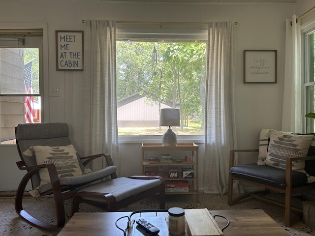 8027 W Hemlock Ave, Baldwin, MI 49304 - photo 3