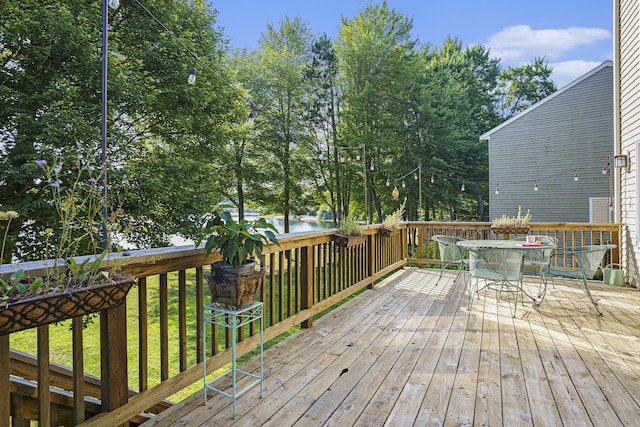16972 Birchview Dr, Nunica, MI 49448 - photo 29
