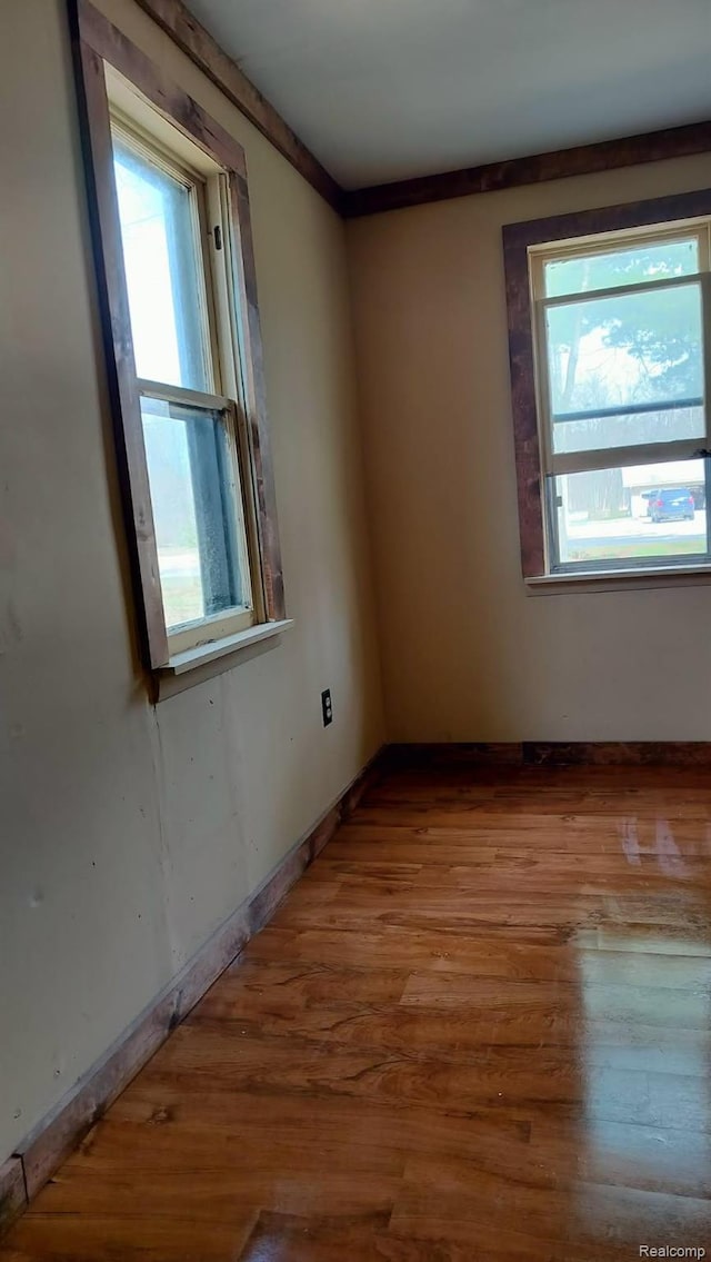 3309 Rabidue Rd, Clyde, MI 48049 - photo 18