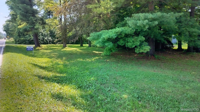 3309 Rabidue Rd, Clyde, MI 48049 - photo 11