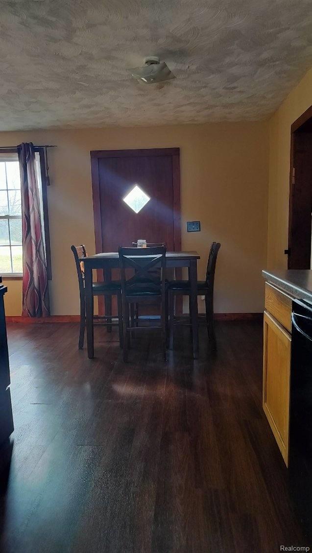 3309 Rabidue Rd, Clyde, MI 48049 - photo 34