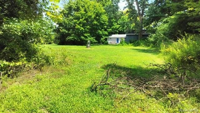 3309 Rabidue Rd, Clyde, MI 48049 - photo 13