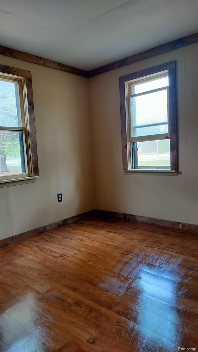 3309 Rabidue Rd, Clyde, MI 48049 - photo 21