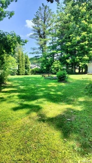 3309 Rabidue Rd, Clyde, MI 48049 - photo 15