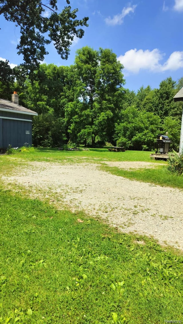 3309 Rabidue Rd, Clyde, MI 48049 - photo 9