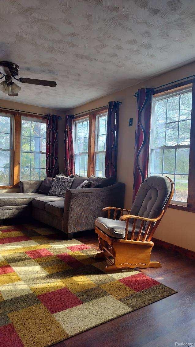 3309 Rabidue Rd, Clyde, MI 48049 - photo 33