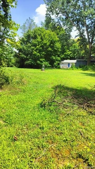 3309 Rabidue Rd, Clyde, MI 48049 - photo 14