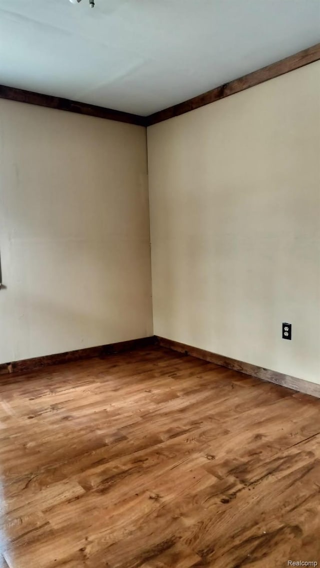 3309 Rabidue Rd, Clyde, MI 48049 - photo 30