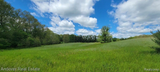 000B Kingsbury Rd, Delton, MI 49046 - photo 4