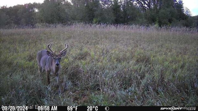 000B Kingsbury Rd, Delton, MI 49046 - photo 7