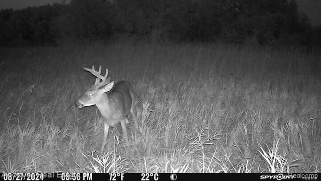 000B Kingsbury Rd, Delton, MI 49046 - photo 6
