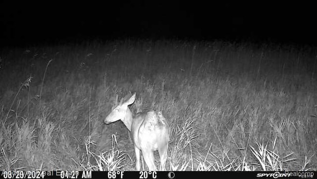 000B Kingsbury Rd, Delton, MI 49046 - photo 8