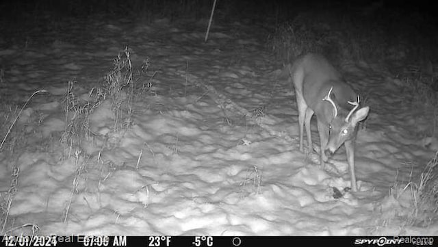 000B Kingsbury Rd, Delton, MI 49046 - photo 17