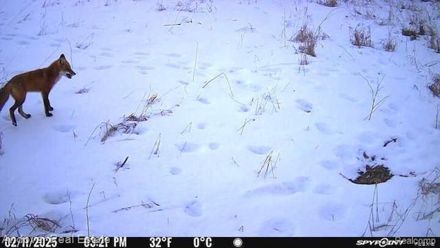 000B Kingsbury Rd, Delton, MI 49046 - photo 13