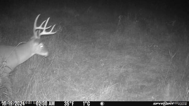 000B Kingsbury Rd, Delton, MI 49046 - photo 19